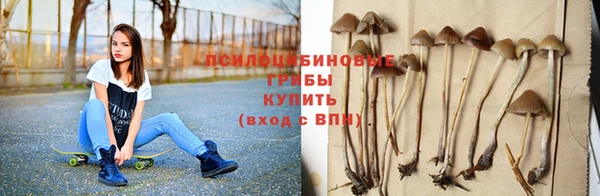 прущая мука Алзамай