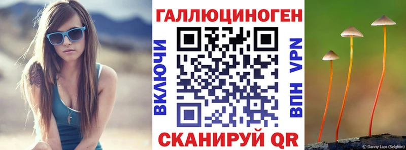 закладки  Бабушкин  Псилоцибиновые грибы мухоморы 