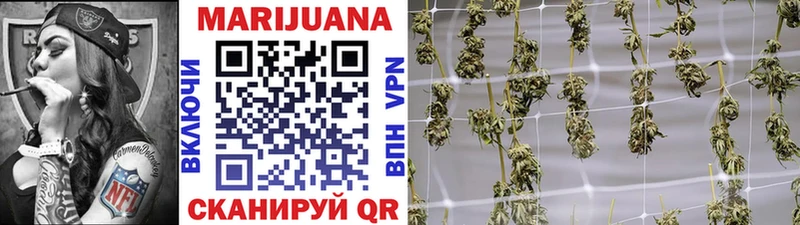кракен как войти  Бабушкин  Шишки марихуана индика 